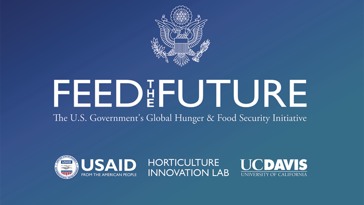 Feed the Future Innovation Lab for Food Security Policy